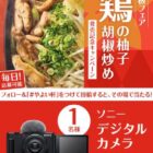 ソニー デジタルカメラカメラ