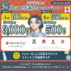 えらべるPay 最大3,000円分