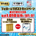 金色のシンカトリ専用容器 / QUOカードPay 1万円分