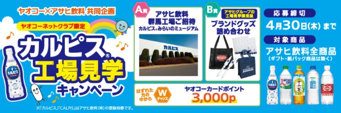【ヤオコー×アサヒ飲料】カルピス工場見学やポイントが当たるクローズドキャンペーン