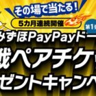 みずほPayPayドーム観戦チケット