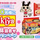 春の新商品セット