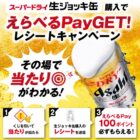 えらべるPay 100ポイント
