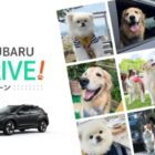 愛犬と一緒に泊まれる宿泊プラン付きモニター