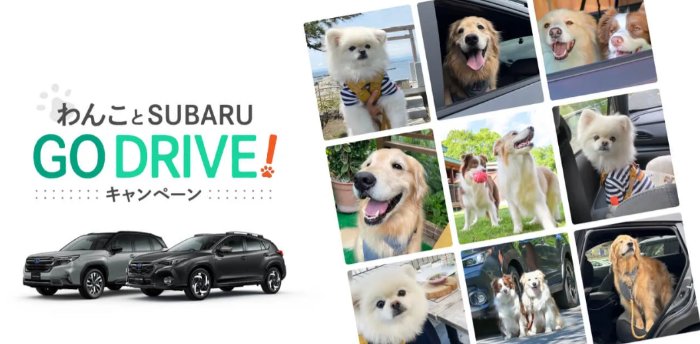 愛犬と一緒に泊まれる宿泊プラン付きモニター試乗が当たる豪華キャンペーン