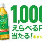 えらべるPay 500円相当