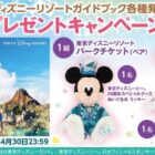 東京ディズニーリゾート・パークチケット / 東京ディズニーシー 25周年スペシャルグッズ