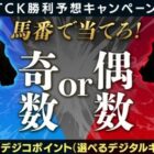 デジコポイント1,000円分が当たる東京シティ競馬のレース予想キャンペーン