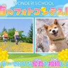 giftee box1,000円分がもらえる春のフォトコンテストキャンペーン