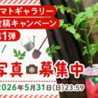 30名様にカゴメ商品詰め合わせが当たる写真投稿キャンペーン