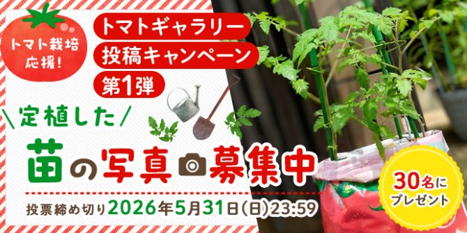 30名様にカゴメ商品詰め合わせが当たる写真投稿キャンペーン