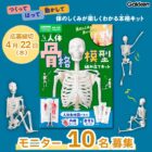 『1/6サイズ 人体骨格模型組み立てキット』モニター