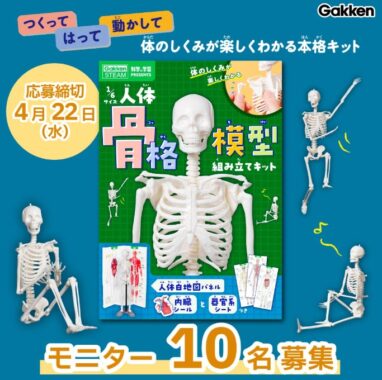 パズル感覚で体のつくりがわかる『1/6サイズ 人体骨格模型組み立てキット』のモニター懸賞