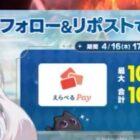 えらべるPay 最大1万円分