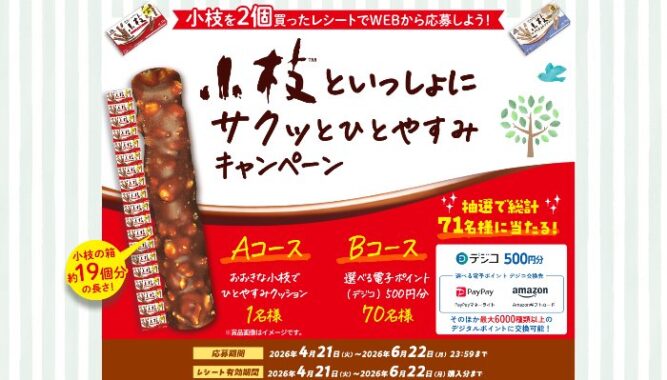 小枝クッションや電子ポイントが当たる森永製菓のクローズドキャンペーン