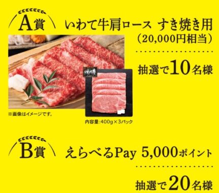 2万円相当のいわて牛肩ロース肉やえらべるPayが当たる豪華キャンペーン