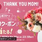 アソビュー カタログギフト / マルイ・モディ店頭引換クーポン 500円分