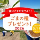 ごまの種 栽培体験モニター