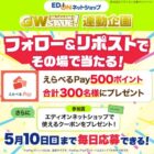 えらべるPay 500ポイント
