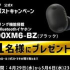 SONY 完全ワイヤレスイヤホン