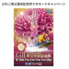 QUOカード 500円分