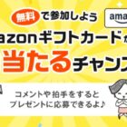 Amazonギフトカード 500円分