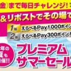 えらべるPay 最大1,000ポイント