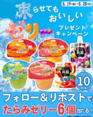 たらみゼリー 6個詰め合わせセット