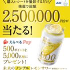 えらべるPay 500ポイント