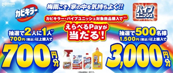 最大3,000円分のえらべるPayが当たるジョンソンのクローズドキャンペーン