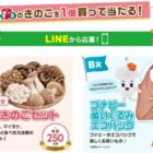 産直きのこセット / オリジナルエコバッグ