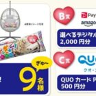 ハンギングチェア+クッション / デジタルギフト 2.000円分 / QUOカードPay 500円分