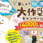 JCBギフトカード 5,000円分 / ぬいぐるみセット / えらべるPay 2,000円分 他