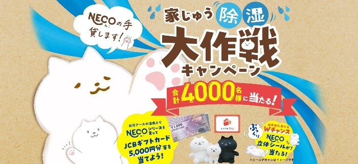 JCBギフトカードやぬいぐるみセットも当たるレシートキャンペーン