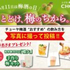 手作り梅キットが当たるチョーヤの写真投稿キャンペーン