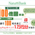 PayPayポイント 1万円分