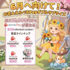 えらべるPay 最大10,000円分 / 本物のお花