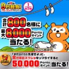 800名様に最大8,000Pontaポイントが当たるXキャンペーン