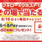 えらべるPay 200ポイント