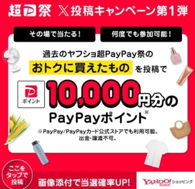 PayPayポイント 10,000円分