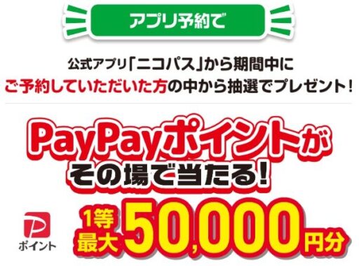 PayPayポイント 最大5,000円分