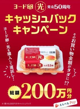 総額200万円分のえらべるPayが当たるキャッシュバックキャンペーン