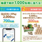 QUOカードPay 2,000円分 / オイシックス ギフトカード+焼さけあらほぐし