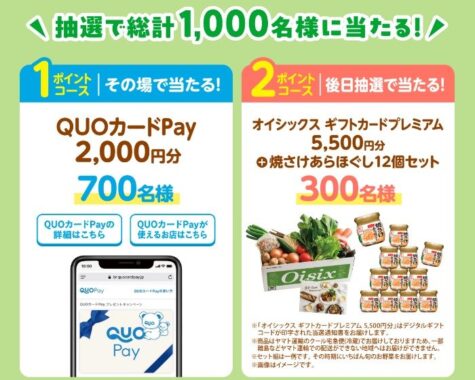 QUOカードPayやオイシックス ギフトカードも当たるニッスイのクローズド懸賞