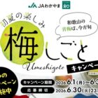 えらべるPay2,000ポイントが当たるJAわかやまのLINEクイズキャンペーン