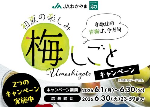 えらべるPay2,000ポイントが当たるJAわかやまのLINEクイズキャンペーン