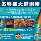 カタログギフト / 「晴れ風」1ケース / デジタル食事券 5,000円分