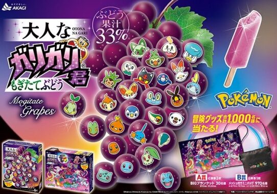 1,000名様にポケモン・ガリガリ君冒険グッズが当たるハガキ懸賞