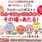 えらべるPay 500ポイント