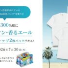 オリジナルTシャツ 2枚パック